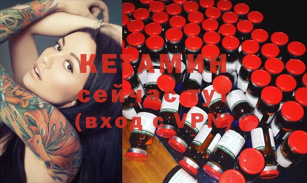 шишки Абаза