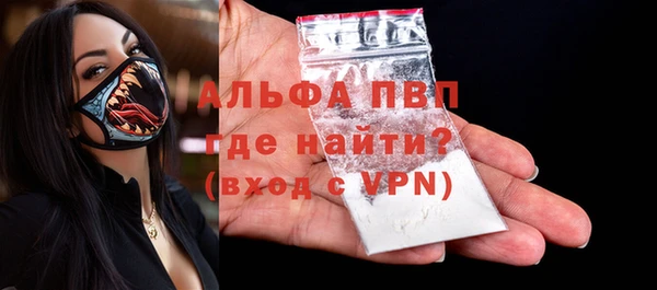 шишки Абаза