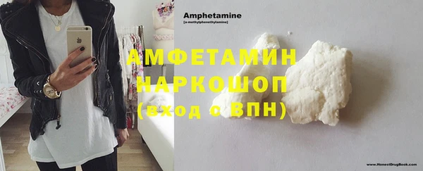 шишки Абаза