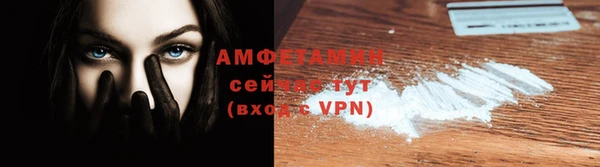 шишки Абаза