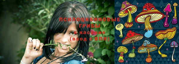 mix Абинск