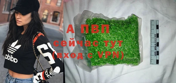шишки Абаза