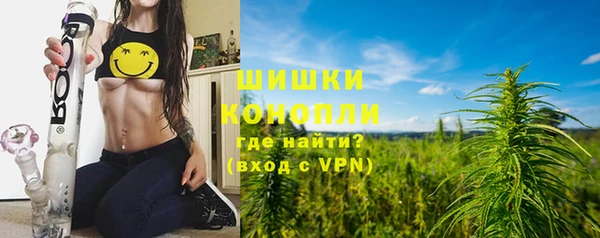 шишки Абаза