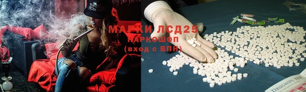 шишки Абаза