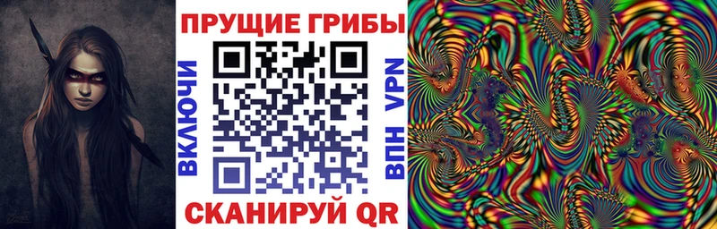 Галлюциногенные грибы MAGIC MUSHROOMS  Дивногорск 